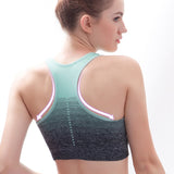 Sports Bra High Stretch Breathable Top Fitness Women Padded for Running Yoga Gym Seamless Crop Bra Gradient Sport Bra - Dollarwoods