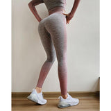 Athletic Clothes Women Seamless Long Sleeve Crop Top Yoga Leggings Set Sports Fitness Suits Gym Active Wear L - Dollarwoods