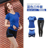 5 pieces sets coat+t shirt+bra+shorts+leggings women yoga clothing quick dry outdoor sports running fitness gym ropa deportiva - Dollarwoods