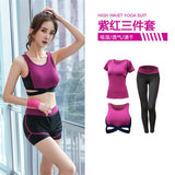 5 pieces sets coat+t shirt+bra+shorts+leggings women yoga clothing quick dry outdoor sports running fitness gym ropa deportiva - Dollarwoods