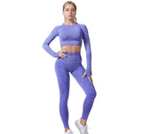 Women Vital Seamless Yoga Set Gym Clothing Fitness Leggings+Cropped Shirts Sport Suit - Dollarwoods