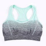 Sports Bra High Stretch Breathable Top Fitness Women Padded for Running Yoga Gym Seamless Crop Bra Gradient Sport Bra - Dollarwoods