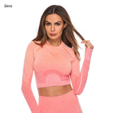 Winter Hot Sale Yoga Set Gym Set Gym Leggings Yoga Sport Leggings Sportswear For Women Sports Clothing Gym Fitness Clothing - Dollarwoods