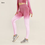 Winter Hot Sale Yoga Set Gym Set Gym Leggings Yoga Sport Leggings Sportswear For Women Sports Clothing Gym Fitness Clothing - Dollarwoods